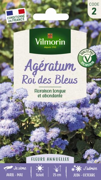Fleurs - Agératum Roi des Bleus - PACKAGING_RECTO